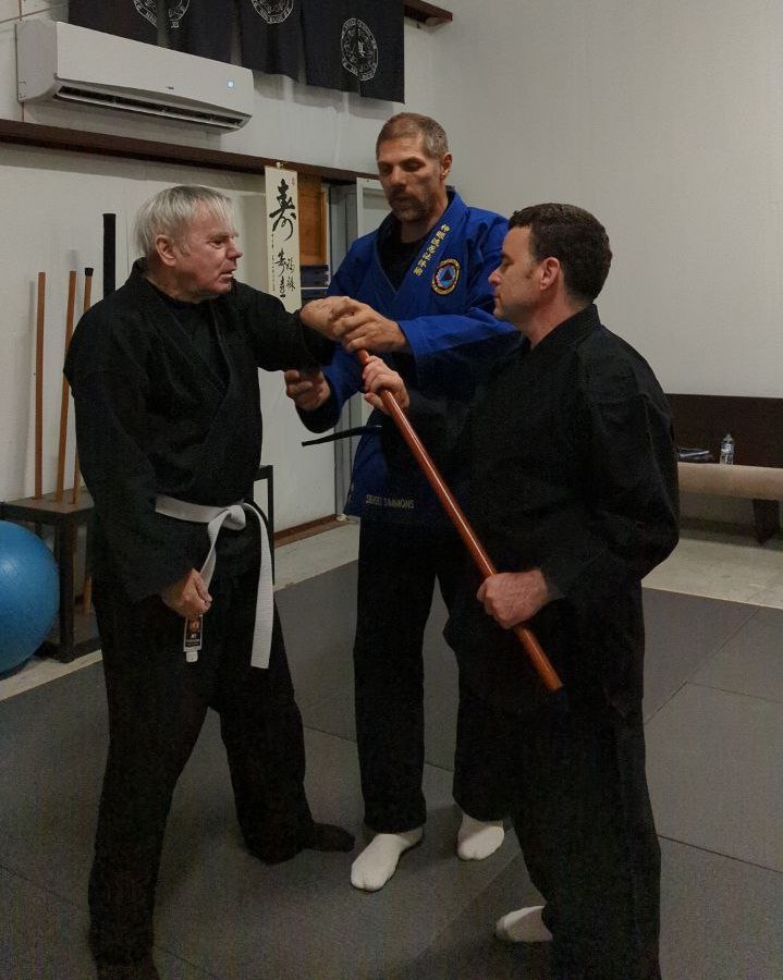 Two men learning martial arts