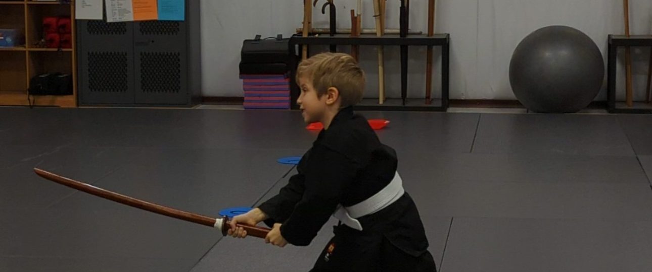 Samurai Sword Camp for Kids at Urban Defense Academy, Shin Gan Dojo in Liberty Hill Texas 78642