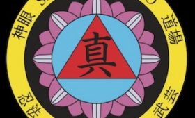 Shin Gan Dojo logo