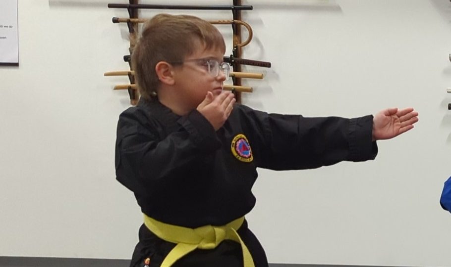 Young boy in a karate stance at Shin Gan Dojo martial arts in Liberty Hill Texas