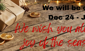 Merry Christmas 2025 from Shin Gan Dojo to you. closed for winter break Dec 24 thru Jan 2