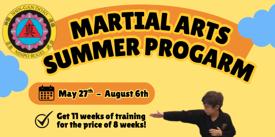 Summer Program 2026 Kids cropped - Martial Arts Dojo in Liberty Hill, Texas Shin Gan Dojo martial arts summer program for kids flyer. Liberty Hill Texas