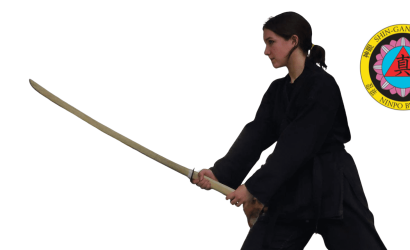 Japanese sword class