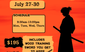 flyer promoting Samurai Sword Camp 2026 at Shin Gan Dojo martial arts in Liberty Hill, Texas