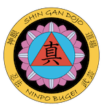 Circular emblem with lotus petals surrounding a blue circle containing a red triangle and black characters on a black background, edged by a gold outer ring with script. Color Logo for Shin Gan Dojo martial art dojo located in Liberty Hill Texas - reduced size small